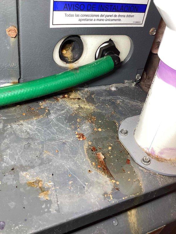 Responded to no-cool call on ground-level unit U10 where water was pooling in basement around furnace. Upon inspection, discovered significant corrosion and rust on condensate drain pan and surrounding metal panels, indicating long-term moisture exposure. Advised customer to turn off A/C system and run fan only to prevent further water accumulation until drain line issue could be properly addressed. Documented extensive rust damage on equipment panels and deteriorated condensate management components with photos for service records.