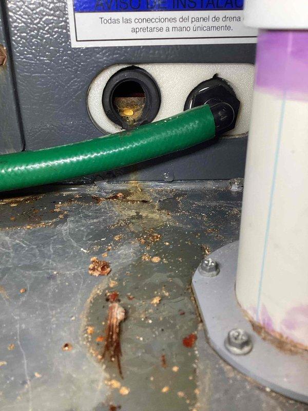 Responded to no-cool call on ground-level unit U10 where water was pooling in basement around furnace. Upon inspection, discovered significant corrosion and rust on condensate drain pan and surrounding metal panels, indicating long-term moisture exposure. Advised customer to turn off A/C system and run fan only to prevent further water accumulation until drain line issue could be properly addressed. Documented extensive rust damage on equipment panels and deteriorated condensate management components with photos for service records.