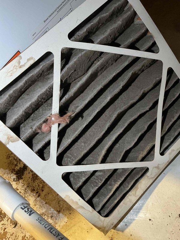 Responded to service call for inspection of two 5-year-old dehumidifiers located in crawl spaces. Accessed both units in confined ground-level areas and performed diagnostic evaluation. Inspected MEGAFLOW dehumidifier unit mounted to floor joists with metal brackets, verified electrical connections, and examined condensate drainage system with PVC piping. Evaluated air intake louvers and assessed overall unit operation. Documented heavily soiled air filter with significant dust and debris accumulation requiring replacement. Checked mounting hardware, ductwork connections, and surrounding crawl space conditions including concrete floor area for moisture concerns.