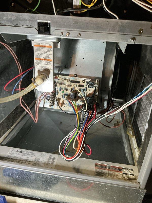 Completed comprehensive cooling system tune-up on ground-level outdoor unit. Performed standard maintenance including inspection of control board wiring and connections, cleaned condenser coil and filter screen which showed accumulation of outdoor debris, verified all electrical components and safety controls operational. System tested and operating within normal parameters.