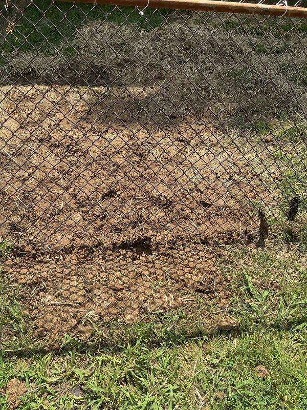 Responded to callback for settling yard concerns along fence line. Upon arrival, inspected area where ground had settled near plumbing installation site. Raked and redistributed displaced soil and mulch material along fence perimeter to level surface and restore proper grade. Documented site conditions with photographs showing completed restoration work.