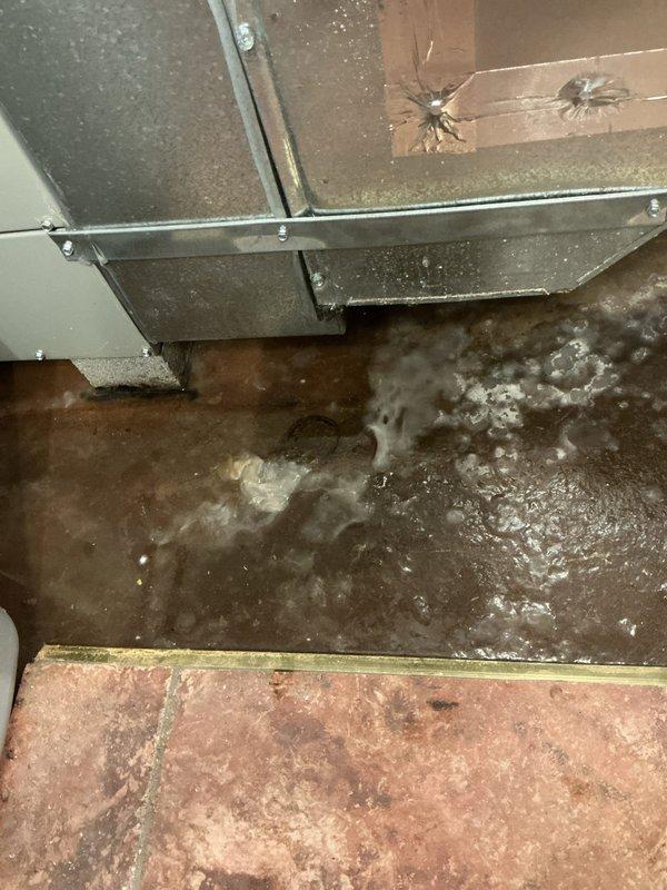Responded to service call for AC leak requiring location identification. Upon arrival, performed thorough inspection of HVAC system and surrounding areas. Located source of water leak at air handler unit in mechanical space. Found significant water accumulation on floor surfaces and extensive moisture damage to surrounding flooring, walls, and subflooring materials. Confirmed drain line was not source of issue as previously verified by municipal sewer inspection. Inspected humidifier operation and determined it was not contributing factor to ongoing leak. Traced leak to condensate issue at air handler unit. Documented extensive water damage including deteriorated flooring tiles, wall discoloration, and moisture infiltration in crawlspace area beneath unit. Photographed conditions showing standing water, damaged subflooring, compromised wall surfaces, and affected ductwork area. Identified primary leak source and provided recommendations for necessary repairs to resolve water intrusion 