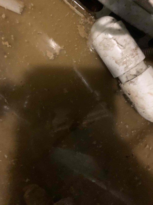Responded to a backup at the utility room floor drain. Upon arrival, found standing water with sediment and debris covering the floor area near the water heater and plumbing connections. Cleared the clogged floor drain to restore proper drainage and prevent further flooding in the utility space.