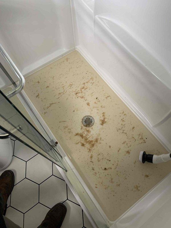 Responded to basement plumbing issue involving clogged shower drain and standing water in floor drain. Utilized roof access and jetter equipment to clear obstructions from drainage system. Successfully restored proper drainage flow to both shower and floor drain fixtures, eliminating standing water condition.