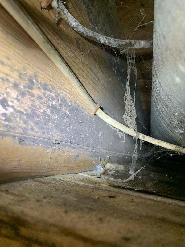 Responded to ongoing condensation issue causing wet spots on basement ceiling despite multiple previous service visits and adjustments. Upon arrival, conducted thorough inspection of two-year-old Rheem furnace system and associated ductwork. Traced condensation source to improperly insulated or undersized return air plenum in unconditioned attic space, evidenced by excessive dust accumulation and lack of vapor barrier protection observed during inspection. Identified that previous air return vent adjustments and commercial dehumidifier recommendation did not address root cause of moisture infiltration from temperature differential between conditioned air and ambient attic conditions. Documented existing conditions with photographs showing dehumidifier unit currently in use and compromised attic space conditions contributing to persistent condensation problem. Recommended proper insulation of return air ductwork, installation of vapor barrier, and potential relocation of air handler com
