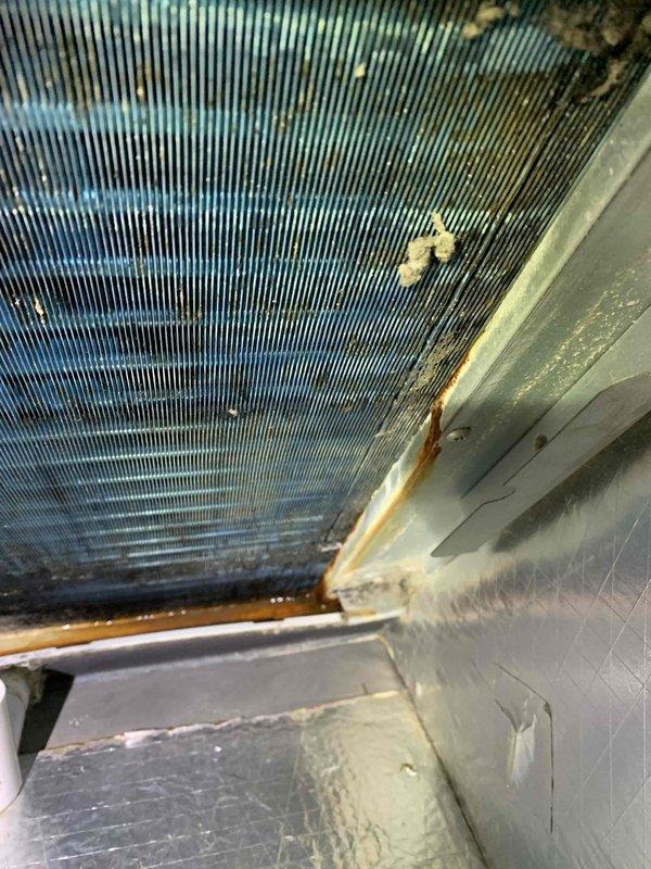 Responded to no-cool service call on 7-year-old Carrier split system at unit D. Upon inspection, found evaporator coil heavily soiled with accumulated dirt, debris, and microbial growth restricting airflow. Coil fins showed significant discoloration with dark staining throughout. Drain pan exhibited rust staining and degraded foam insulation at connection points, indicating prolonged moisture exposure and lack of routine maintenance. Cleaned evaporator coil assembly, cleared condensate drainage system, and restored proper airflow. System tested and returned to normal cooling operation.