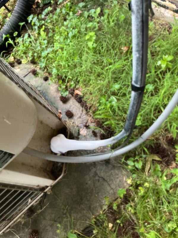 Responded to no cooling complaint for two-unit system with 10+ year old equipment. Upon arrival, found outdoor condenser unit severely obstructed by overgrown vegetation and debris accumulation. Exterior coils were blocked by dense weed growth covering concrete pad and encroaching on unit housing. Removed access panel and discovered significant organic debris including leaves, twigs, and plant matter packed inside unit cavity around refrigerant lines and electrical connections. Cleared vegetation from around condenser perimeter and removed internal debris buildup to restore proper airflow. Inspected both HVAC systems as requested and provided recommendations for ongoing maintenance. Unit left in operational condition with thermostat set to fan-only mode per customer instructions.