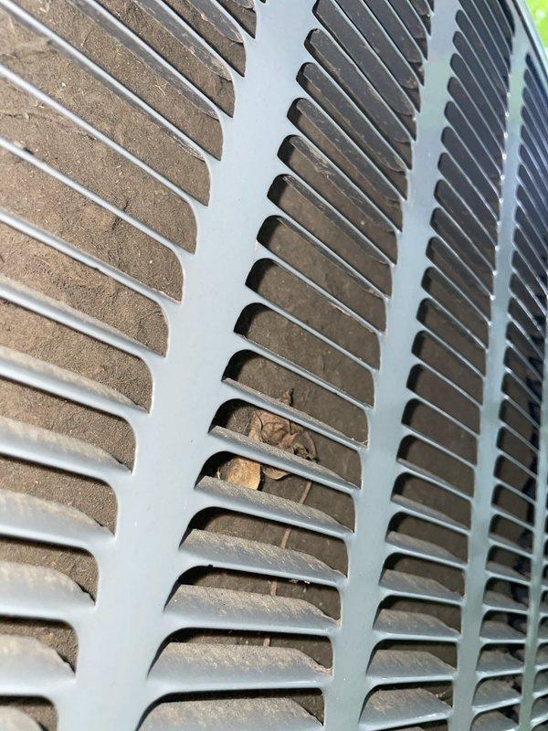 Responded to no cooling call on 13-year-old Amana system where indoor unit was blowing air but outdoor unit failed to operate. Upon inspection, found outdoor condenser unit non-operational and thermostat unresponsive to adjustments. Diagnosed electrical failure preventing compressor engagement, performed necessary repairs to restore power to outdoor unit, verified proper thermostat communication, and tested system operation to confirm cooling restoration and proper refrigerant cycling.