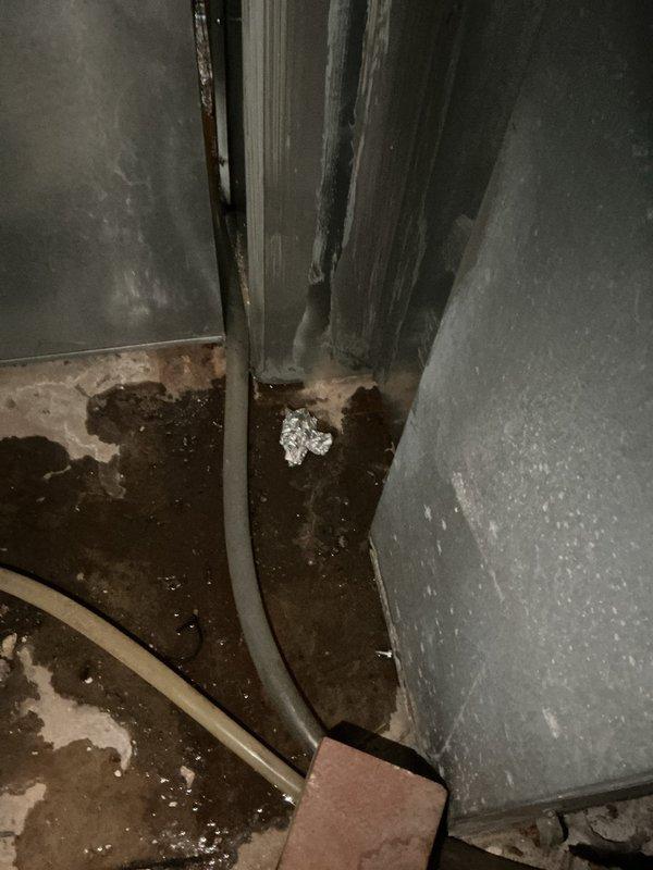 Responded to callback for newly installed system experiencing water leakage from indoor unit after 14 days of operation. Upon inspection, identified condensate drainage issue requiring evaporator coil access and drain line reconfiguration. Uncased Bryant 454-BL40 evaporator coil assembly to diagnose leak source, then installed 10'3" of PVC condensate drain line with appropriate fittings to establish proper drainage. Replaced electrical disconnect and whip to ensure code-compliant power supply to equipment. Verified proper condensate flow, tested system operation, and confirmed no active leaks present at completion.