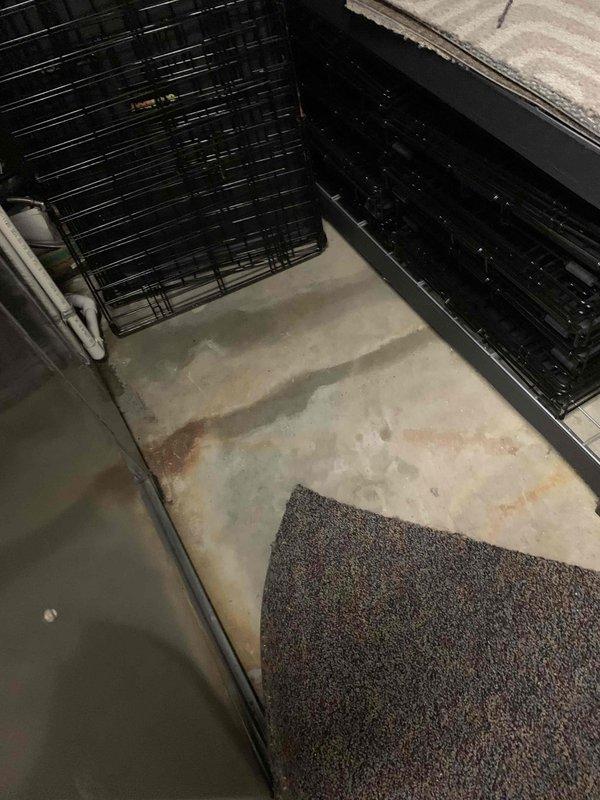 Responded to service callback regarding water leakage from condensate basin on ground-level outdoor unit. Upon inspection, discovered condensate drain hose had been left disconnected during previous service visit, resulting in water overflow onto basement concrete floor and adjacent carpeting. Reconnected condensate drain hose to proper discharge point and verified secure connection. Tested system operation and confirmed condensate now draining properly with no further leakage from basin. Documented water damage to concrete floor and carpet edge with photos for customer records.