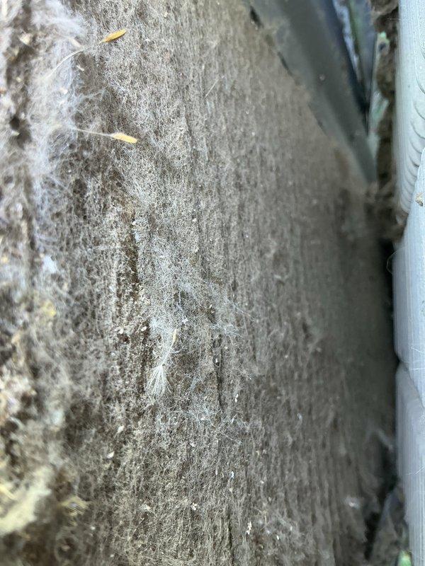 # HD#F61374543

Responded to service call for 10-year-old air conditioning system not cooling. Upon arrival, performed visual inspection of outdoor condensing unit and indoor furnace components. Documented current system condition with photos showing outdoor unit location and indoor HVAC equipment with access panel removed for inspection.

Observed outdoor condensing unit positioned on concrete pad with visible weathering and debris accumulation on surrounding surface. Indoor inspection revealed furnace unit with standard gas piping, electrical wiring, and blower assembly. Noted rust staining present around PVC condensate drain pipe connections at top of furnace unit, indicating potential moisture exposure over time. Unit specifications and manufacturer labels documented for reference.

Verified best contact number on file for follow-up communication. System assessed and findings documented for further diagnostic evaluation or recommended service actions.