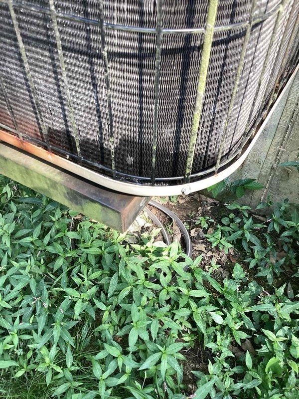 Responded to no cooling call on 10+ year old system located in basement with outdoor condenser on side of home. Upon arrival, found outdoor condenser unit with severely clogged condenser coil fins filled with dirt, debris, and organic material, restricting airflow and preventing proper heat transfer. Vegetation growth around unit base was obstructing clearance and contributing to reduced system performance. Performed thorough condenser coil cleaning to restore airflow, cleared vegetation from around unit perimeter to establish proper clearance, and tested system operation to verify cooling restored.