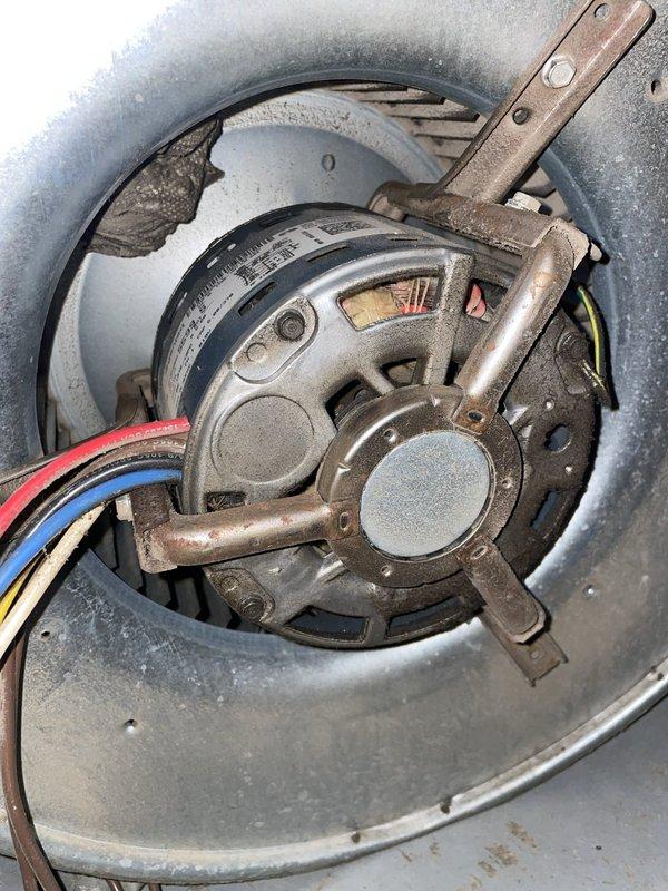 Replaced failed blower motor and performed thorough cleaning of blower wheel assembly in HVAC system. Removed old motor from housing, cleaned accumulated dust and debris from squirrel cage blower wheel, and installed new replacement motor with proper electrical connections. System tested and confirmed operational upon completion.