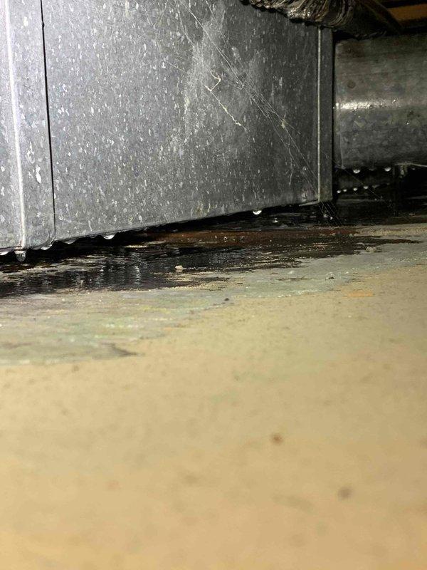 # HVAC Service Report: No Cool Condition - Air Handler Leak

## Diagnostic Findings

Responded to customer complaint of musty odor and drywall moisture damage associated with an 11-year-old residential air conditioning system. Upon inspection of the air handler unit located in the crawl space, discovered significant water accumulation pooling beneath and around the base of the unit. The galvanized metal air handler exhibited extensive condensation on exterior surfaces with visible water droplets covering insulated components and adjacent ductwork.

## Issues Identified

Primary concern was excessive moisture accumulation resulting from condensate drainage system failure. The dark liquid pooling on the crawl space floor indicated prolonged drainage issues, creating floor staining and potential structural concerns. Heavy condensation on the air handler cabinet, insulated plenum, and flexible ductwork suggested inadequate insulation performance and possible airflow restrictions. The humid