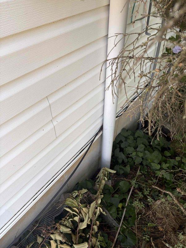 Conducted on-site assessment for new electrical panel installation at residential property. Documented existing exterior electrical infrastructure, including current meter base mounted on white vinyl siding with white PVC conduit system. Evaluated service entrance configuration and accessibility for panel upgrade work. Vegetation around foundation and service entrance area noted for clearance considerations during installation phase.