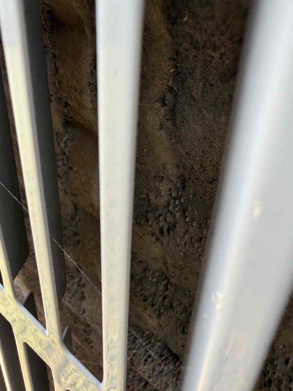 Responded to no cooling call on 15-year-old air conditioning system. Upon inspection, found evaporator coil heavily contaminated with dust and debris accumulation, significantly restricting airflow. Interior components showed extensive soiling with visible mold growth on metal surfaces and drain pan area. Documented system condition with photographs showing herringbone fin pattern coil obstruction and darkened, corroded internal surfaces. Assessed unit requires thorough coil cleaning and system sanitization to restore proper operation and airflow capacity.