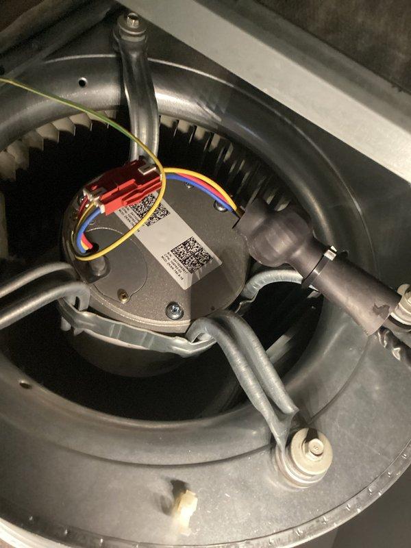 Replaced defective blower motor and motor drive assembly under warranty on unit S/N 5924J16368 due to no cooling condition. Removed failed motor from blower housing, installed new motor assembly with drive components, reconnected all electrical connections including capacitor wiring, and verified proper operation of blower assembly upon completion.
