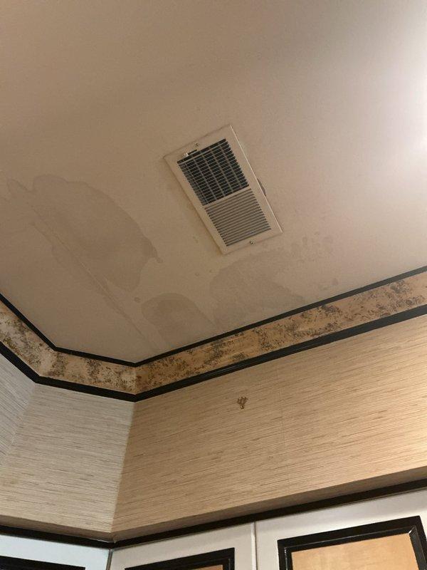 Responded to callback for beeping noise from kitchen AC vent on 5-year-old Daikin system. Upon inspection, discovered significant water damage and mold growth on walls near ceiling vent, indicating active moisture intrusion. Traced issue to attic-mounted air handler where extensive rust and corrosion was found on condensate drain pan and surrounding components. Confirmed beeping originated from condensate overflow safety switch activated due to blocked or malfunctioning drain system. Documented severe deterioration of base pan and potential secondary drain line failure. Recommended immediate condensate system repair, drain pan replacement, air handler evaluation for further corrosion damage, and professional mold remediation of affected interior surfaces to prevent health hazards and structural damage.