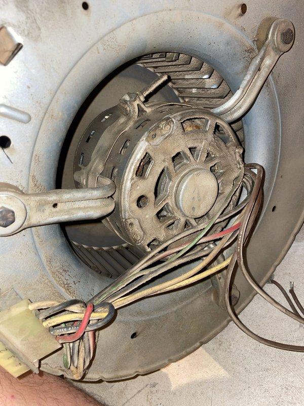 Replaced failed blower motor assembly in HVAC system. Disconnected electrical connections, removed old motor showing significant wear and dirt accumulation, installed new blower motor, reconnected all wiring, and verified proper operation. Old motor disposed of per standard procedures.