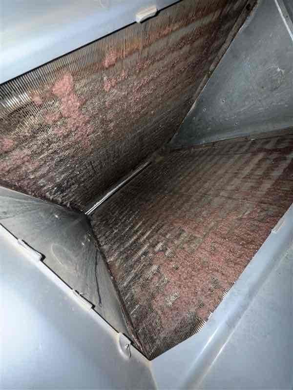 Responded to no cooling complaint on 4-year-old residential air conditioning system. Upon arrival, found thermostat not functioning properly as previously reported in recall notice. Inspected evaporator coil assembly and discovered severe contamination with biological growth, dirt accumulation, and debris throughout coil fins, significantly restricting airflow and reducing heat transfer efficiency. Heavy pink and reddish-brown residue visible across entire coil surface, indicating mold and bacterial contamination. Documented coil condition with photos showing extensive discoloration and buildup on both A-frame sections of evaporator. Advised customer that thorough coil cleaning and thermostat replacement required to restore proper system operation and cooling capacity.
