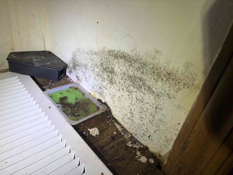 Responded to no-cool call and discovered active water leak from AC unit in closet utility area causing wet flooring, saturated air filter, and extensive mold growth on drywall surfaces. Documented severe moisture damage with photographs showing black mold colonization spreading from floor level upward across multiple wall surfaces in the confined space. Identified one-year-old system experiencing condensate drainage failure resulting in water intrusion that penetrated carpeting outside closet area. Assisted with system shutdown to prevent further water damage and advised immediate remediation of mold-contaminated materials and professional assessment of condensate drain line and drain pan integrity before unit restart.