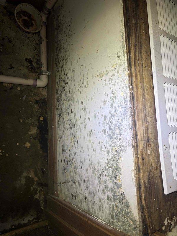Responded to no-cool call and discovered active water leak from AC unit in closet utility area causing wet flooring, saturated air filter, and extensive mold growth on drywall surfaces. Documented severe moisture damage with photographs showing black mold colonization spreading from floor level upward across multiple wall surfaces in the confined space. Identified one-year-old system experiencing condensate drainage failure resulting in water intrusion that penetrated carpeting outside closet area. Assisted with system shutdown to prevent further water damage and advised immediate remediation of mold-contaminated materials and professional assessment of condensate drain line and drain pan integrity before unit restart.