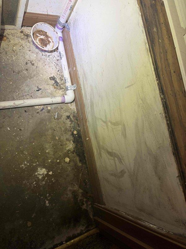 Responded to recall for persistent water leak from 1-year-old AC system in utility closet. Upon arrival, confirmed active leak with saturated filter pad, wet flooring extending to exterior carpeting, and visible mold growth on drywall surfaces. Inspected evaporator coil drain system and condensate management components. Documented extensive moisture damage to concrete floor, walls, and surrounding areas with photographic evidence showing compromised building materials and microbial growth. System requires immediate attention to condensate drain line, drain pan integrity, and proper drainage function to prevent continued water intrusion and further structural damage.