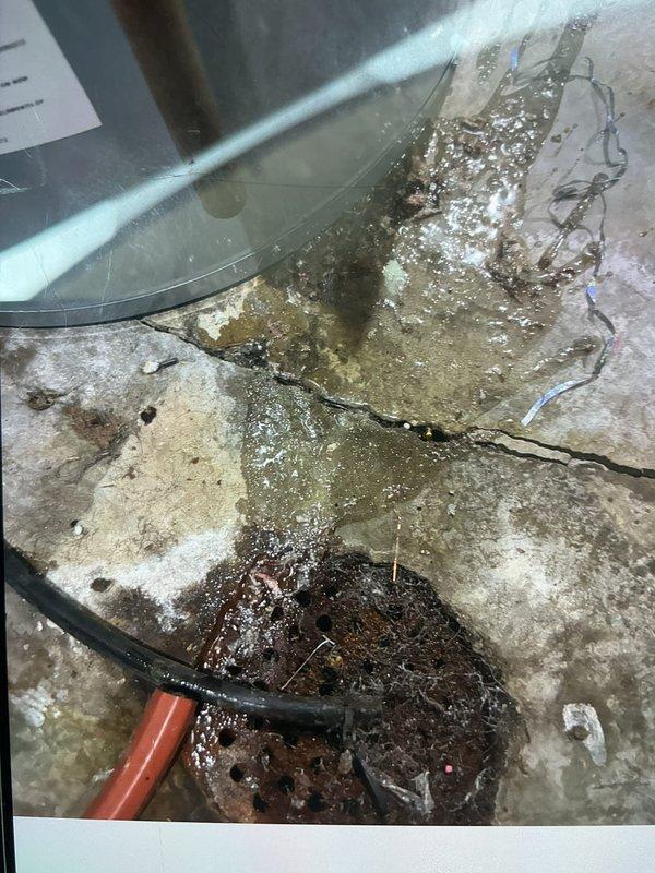 Responded to no cooling complaint on 2021 Rheem air conditioning system that had stopped working one week prior. Upon arrival, connected manifold gauge set to service ports and performed system diagnostics. Found evidence of significant water leakage on concrete floor beneath air handler, indicating drain line obstruction or secondary drain pan overflow. System was previously installed as part of complete furnace, AC, and coil replacement. Completed troubleshooting procedures, documented conditions with photographs showing gauge readings and water damage patterns, and restored cooling operation to unit located on side of residence at elevated position.