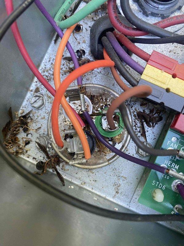 Responded to no cooling complaint on 10+ year old ground-level unit experiencing humming noise. Upon inspection, found contactor showing signs of significant corrosion and moisture damage to control panel with rust staining throughout electrical compartment. Tested voltage at contactor terminals and confirmed electrical failure preventing compressor engagement. Replaced failed contactor, cleaned corroded connections, and verified proper amperage draw. System restored to normal cooling operation with all components functioning within manufacturer specifications.