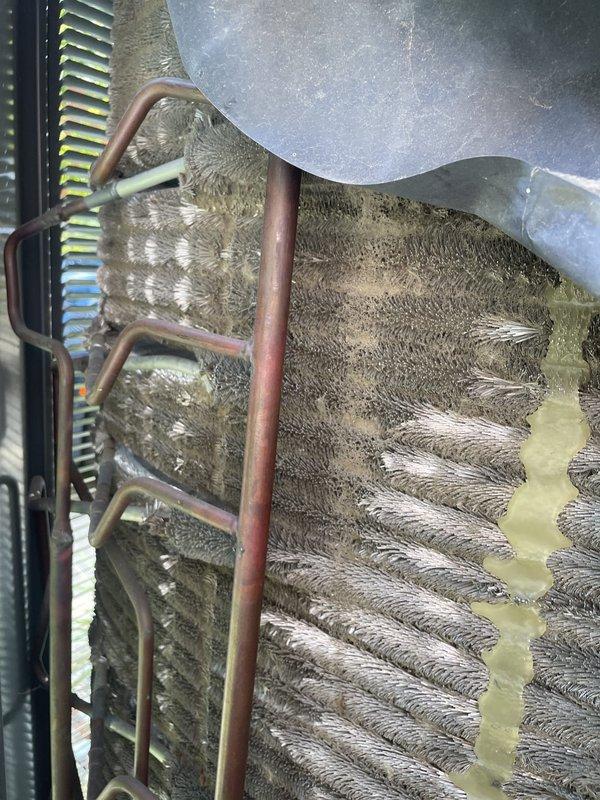 Responded to no cooling complaint on Unit 10 located at side of home. Upon inspection, discovered evaporator coil severely restricted with heavy accumulation of dust, dirt, and debris throughout fin structure, causing significant airflow restriction and reduced heat exchange capacity. Contamination was particularly dense on intake side with matted, fibrous buildup between fins. Documented conditions with photos showing extent of coil contamination and debris accumulation on both evaporator coil face and internal assembly. Refrigerant lines and coil assembly inspected for additional issues. System required thorough evaporator coil cleaning to restore proper airflow and cooling capacity.