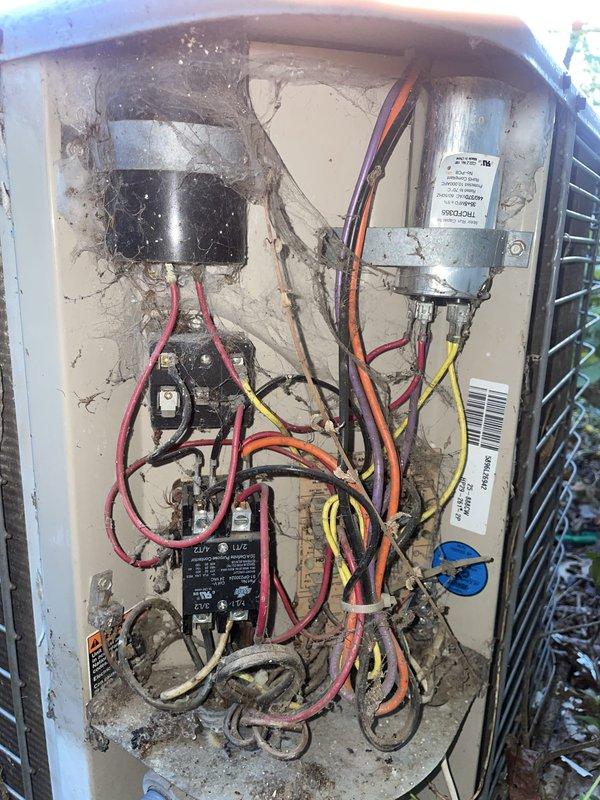Responded to no cooling complaint on 20-year-old residential air conditioning system. Upon arrival, verified thermostat calling for cooling with no response from outdoor unit. Inspected outdoor condensing unit and found electrical control compartment heavily contaminated with dirt, debris, and insect nesting material affecting electrical connections and components. Cleaned and serviced electrical panel, inspected capacitor and contactor for proper operation. Tested system operation and restored cooling to residence. Recommended system replacement due to age and condition of equipment.
