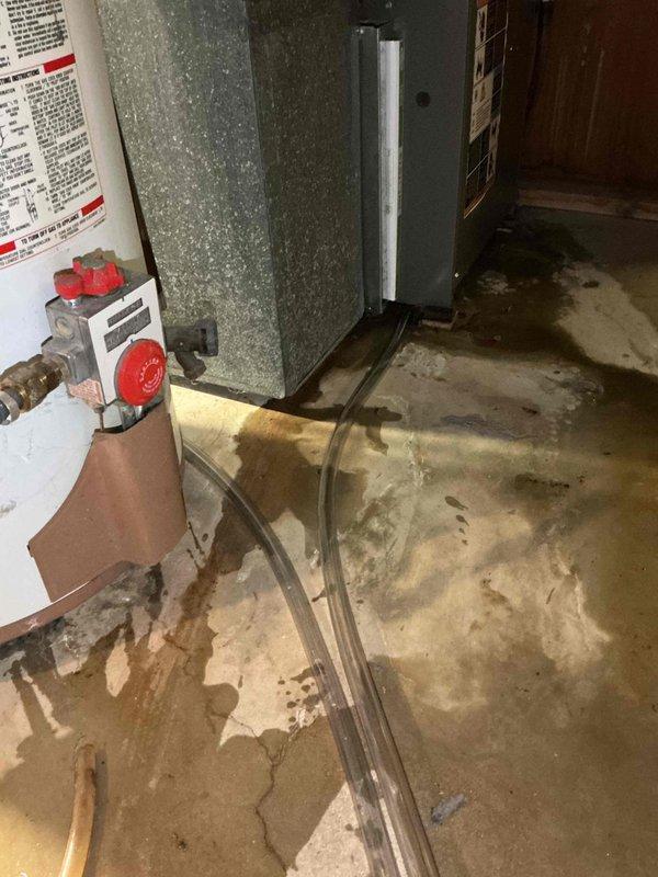 Responded to service call for water leaking from 16-year-old furnace system located in basement. Upon arrival, found significant water accumulation on concrete floor around HVAC unit with visible staining and moisture damage throughout mechanical room area. Identified condensate drainage issue with condensate lines routing to floor drain, which showed heavy rust and corrosion. Per customer instructions, shut down air conditioning system while leaving fan operational to prevent further water discharge. Documented extensive water damage on floor and compromised cardboard materials near equipment, indicating ongoing drainage problem requiring condensate system repair or replacement.