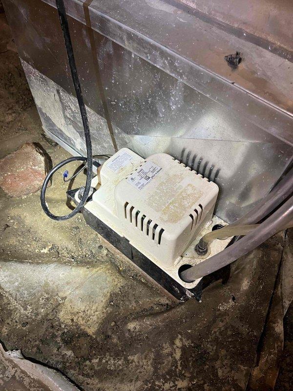 Completed comprehensive tune-up service on single furnace unit located in basement. Performed standard maintenance protocol including inspection of blower assembly, heat exchanger, and electrical components; verified proper operation of ignition system and safety controls; replaced air filter with new Flanders filter; and cleaned accumulated dust and debris from equipment housing and surrounding area.