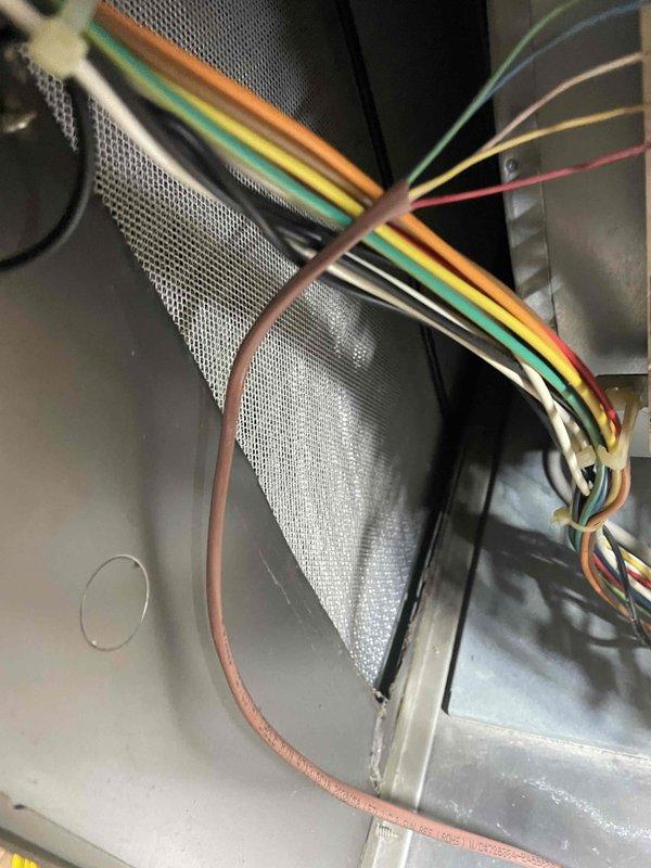 Completed comprehensive heating tune-up and safety inspection on 13-year-old Bryant furnace system. Verified proper operation of all system components including burner assembly, heat exchanger, blower motor, and control wiring; confirmed low-voltage wiring connections secure and properly routed throughout cabinet. System operating within manufacturer specifications with all safety controls functioning correctly.