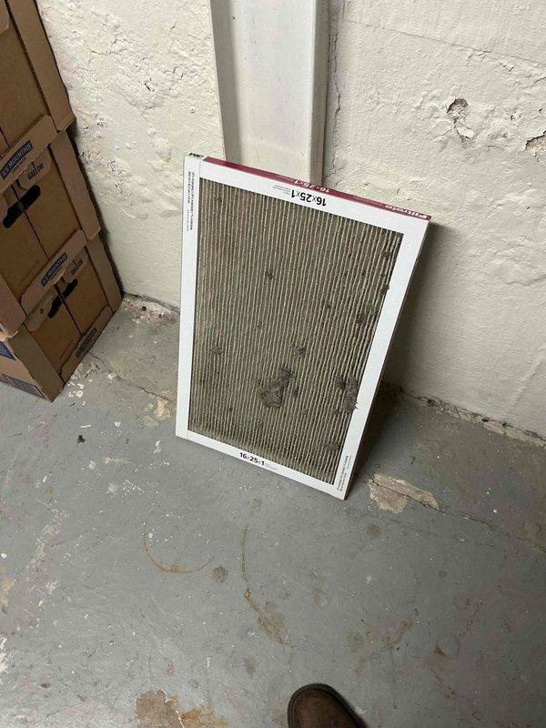 Responded to no cool/no airflow complaint following recent maintenance visit. Upon inspection, found severely restricted air filter completely blocking airflow to system. Filter media was heavily loaded with dust and debris, preventing air circulation through ductwork despite unit attempting to operate. Removed and replaced clogged filter with properly sized filter, restoring full airflow throughout home and normal cooling operation.