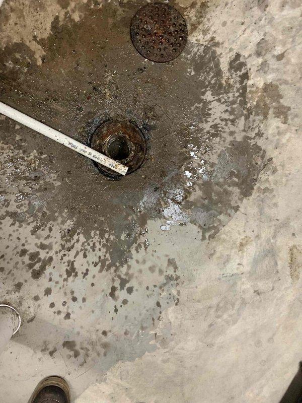 Responded to recurring basement water backup issue with floor drain inspection and assessment. Upon arrival, found evidence of recent water accumulation on concrete floor surrounding multiple floor drains, with visible staining and moisture damage indicating backup had occurred. Inspected drain openings and observed corrosion around drain perimeters. Documented conditions showing water staining patterns near water heater and throughout utility area floor surface, confirming drainage system failure requiring further intervention to resolve underlying blockage or structural issue causing repeated backups.
