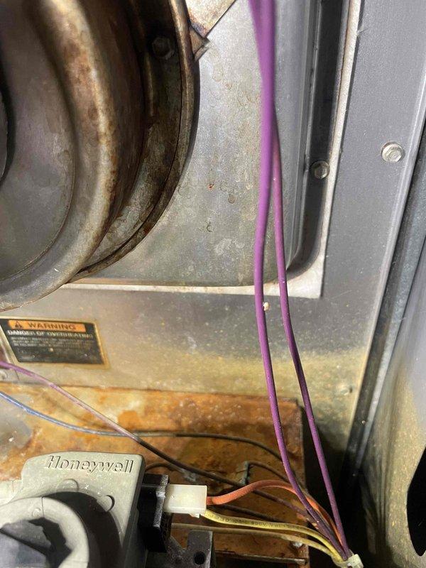 Completed comprehensive tune-up on 10-year-old furnace located in basement. Performed diagnostic testing using clamp meter to verify electrical draw on blower motor, recording 13-amp reading within normal operating parameters. Inspected gas valve assembly, burner assembly, and all electrical connections including Honeywell flame sensor and control wiring. All components found to be functioning properly with no immediate safety concerns, though unit's age was noted for future consideration.