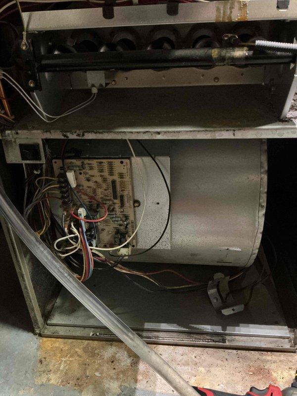 Completed comprehensive tune-up service on two HVAC units: one Bryant furnace located in basement and one air conditioning unit positioned at side of home, both approximately 10 years old. Performed full system inspection, cleaned and tested all components, verified electrical connections and control board operation, checked refrigerant levels, inspected ductwork and ventilation systems, and confirmed proper operation of both heating and cooling equipment.
