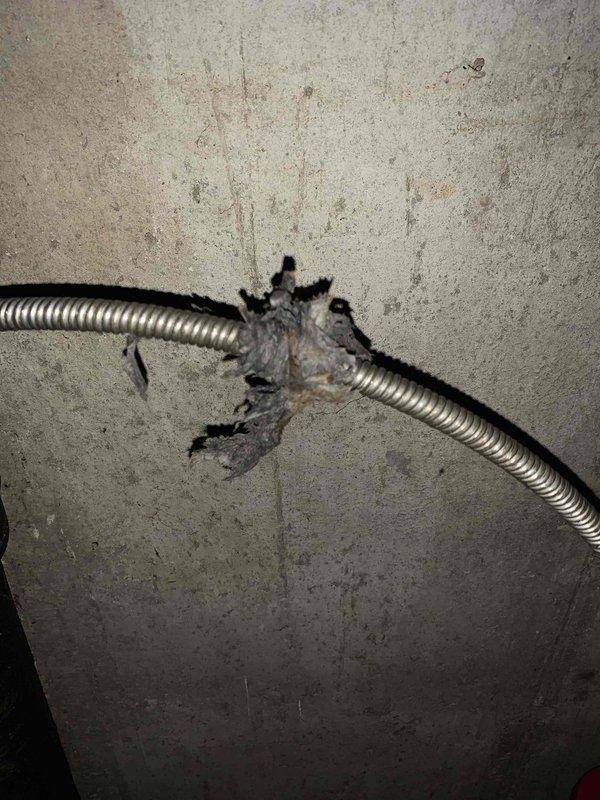 Responded to a clogged shower drain in the basement bathroom. Upon inspection, discovered deteriorated flexible metal conduit and damaged piping components in the drain line assembly. Cleared the obstruction and documented the compromised conduit sections that will require future replacement to prevent recurring drainage issues.
