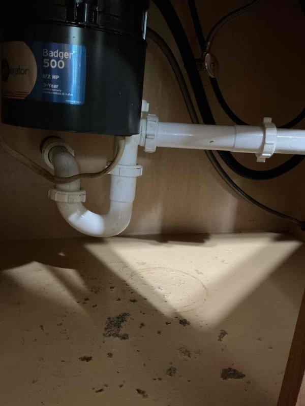 Responded to kitchen sink clog caused by food debris, specifically raspberries that had entered the drain system. Upon arrival, accessed property through back entrance as front doorbell was inoperative. Inspected double-basin stainless steel sink with standing water in both basins. Opened cabinet access panel and examined plumbing configuration, which included a Badger 500 1/2 HP garbage disposal unit connected to standard PVC P-trap drainage system. Cleared blockage from disposal and drain line, restoring proper water flow and drainage function to both sink basins.