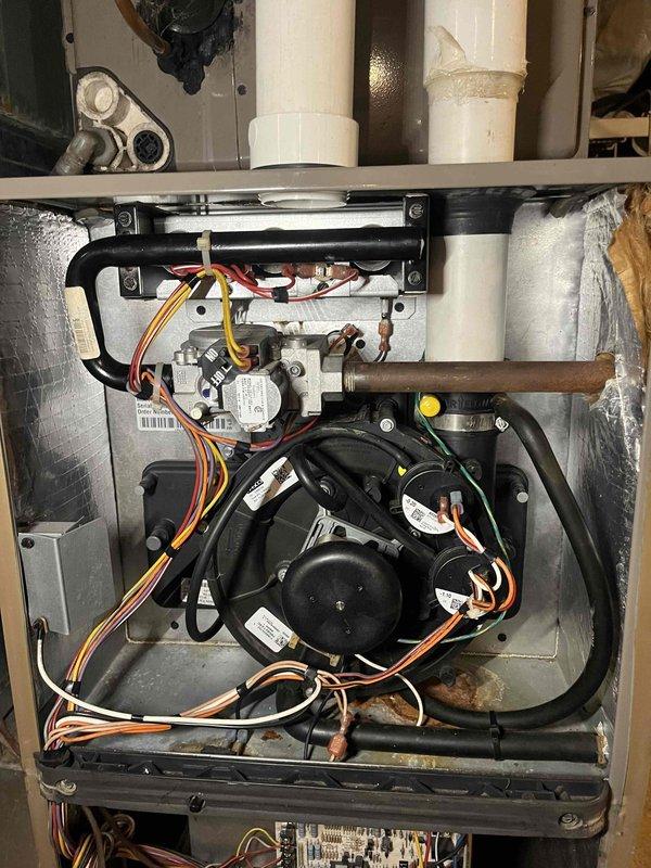 Completed comprehensive tune-up service on basement furnace unit as part of Home Depot promotional maintenance program. Performed full system inspection including blower motor assembly, gas valve operation, control board functionality, and all electrical connections. Verified proper operation of all safety controls, cleaned accessible components, and documented system condition with interior compartment photography showing blower assembly, circuit board, and wiring harnesses in satisfactory working order.