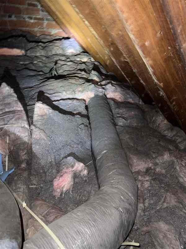 Returned to property during morning hours to conduct attic inspection that could not be completed during previous evening visit due to excessive heat conditions. Performed thorough evaluation of attic insulation and ductwork system to determine root cause of cooling issues. Found deteriorated and compressed insulation with uneven coverage throughout attic space, along with flexible HVAC ductwork requiring assessment. Documented conditions with photographs for further analysis and repair recommendations.