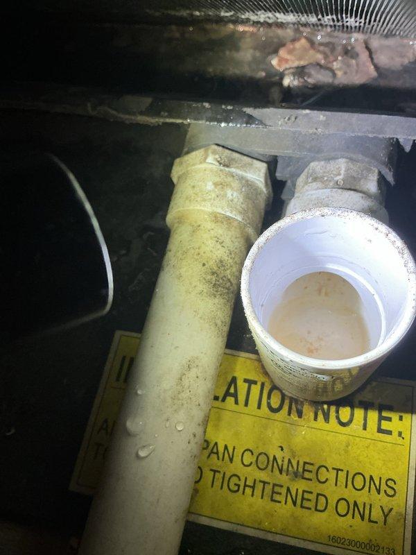 Responded to no cooling call on 7-year-old ground-level unit located in utility closet. Upon arrival, found AC system not turning on as reported. Inspection revealed clogged condensate drain line causing float switch activation and preventing system operation. Cleared drain line obstruction, flushed drainage system, and verified proper flow. Observed significant contamination and mold growth in drain pan requiring cleaning. Cleaned drain pan, treated with biocide, and verified all drain connections were secure. Tested float switch operation and confirmed proper function. Cycled system on, verified compressor and blower motor engagement, and confirmed cooling operation restored. System operating normally at departure.