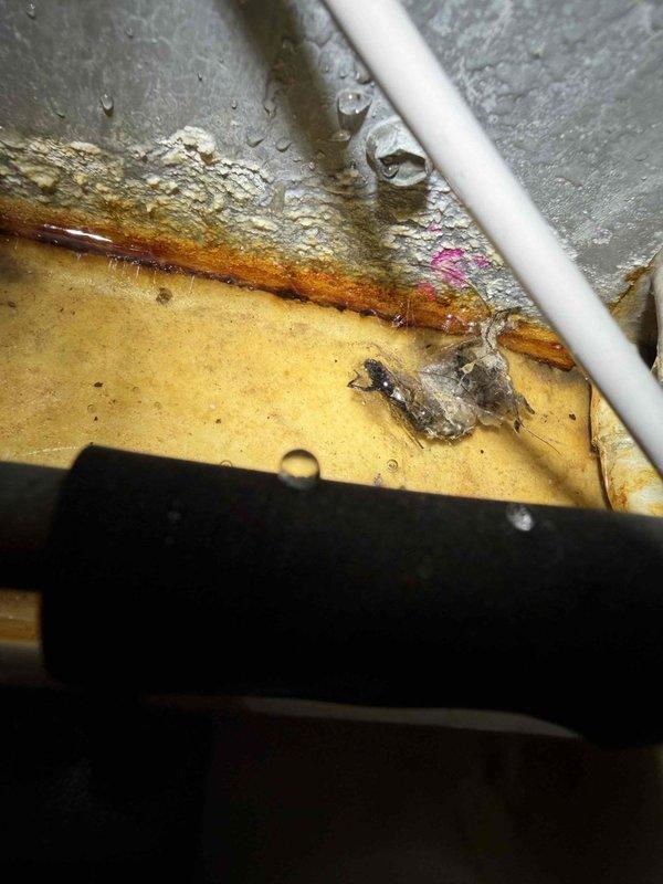 Responded to callback for 3-year-old Lennox system displaying alert code 207 and water leakage from AC unit despite maintaining cooling function. Upon inspection, discovered significant water accumulation and staining on floor beneath air handler, active condensation present in drain pan, and severe corrosion along drain pan seams with deteriorated coating. Identified compromised drain pan integrity as source of water leakage causing system alert. Documented conditions with photographic evidence showing rust damage and moisture intrusion requiring drain pan replacement to prevent further water damage and resolve alert code.
