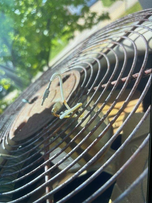 Responded to service call for outdoor condensing unit reported to be making unusual noise. Upon arrival, performed visual inspection of single residential AC unit located in side yard. Inspected condenser fan assembly and protective grille, noting significant rust and corrosion on fan guard components with visible oxidation throughout metal surfaces. Documented existing weathering and deterioration of external components. Unit operational at time of inspection. Owner approved recommended repairs to address noise concern and restore proper system function.