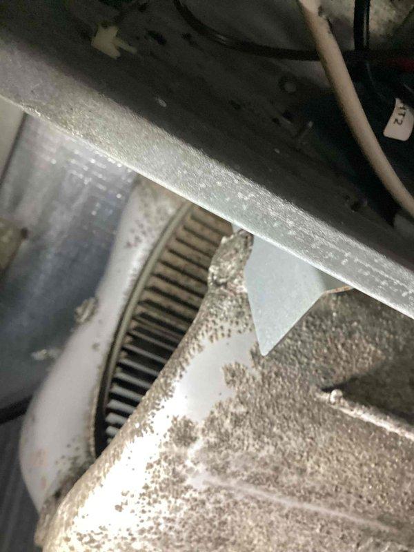 Responded to no heat call on heat pump system. Upon arrival, found that previously installed defrost board was not functioning properly. Performed diagnostic testing on low voltage control circuits and heat pump electrical components including defrost control board, capacitor, and contactor. Identified multiple issues affecting system operation. Documented equipment condition with photos showing significant dust accumulation on indoor components and outdoor unit wiring configuration. System requires repairs beyond defrost board replacement. Provided quote for necessary repairs to restore proper heat pump operation. Unit remains non-operational pending customer approval of recommended repairs.