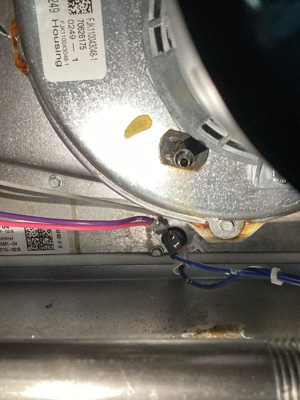 Completed preventive maintenance tune-up on basement furnace unit. Performed comprehensive inspection of blower motor assembly, noting moderate rust and corrosion present on mounting hardware and fasteners. Verified all electrical connections, checked airflow, inspected ductwork, and confirmed system operational parameters are within acceptable range for continued service.