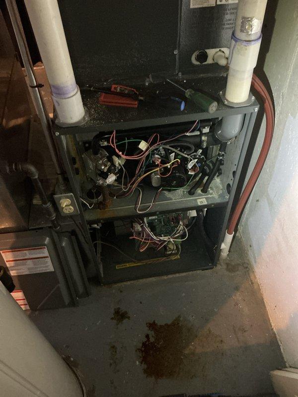 # HVAC Tune-Up Completed

Performed comprehensive preventive maintenance tune-up on two furnace units located in basement. Conducted thorough inspection of primary heating system serving second floor zone, examining all internal components including control boards, wiring harnesses, and electrical connections. Verified proper operation of exhaust and intake PVC venting systems. Inspected ductwork connections including flexible metallic ducting and rigid metallic supply plenums. Cleaned accumulated dust and debris from furnace interior and surrounding floor area. Tested all safety controls, burner operation, and airflow distribution. Both units found to be operational with no immediate repairs required at time of service.