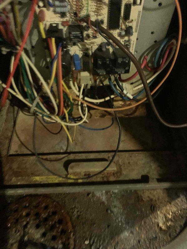 Performed a seasonal tune-up on an 11-year-old furnace, inspecting the control board, wiring harness, flue connection, and venting for proper operation and safe connections. Noted heavy rust and corrosion on the lower cabinet panel and blower compartment guard, along with dust and debris buildup on the plenum and surrounding components, and recommended monitoring the corrosion for possible moisture or condensation issues.