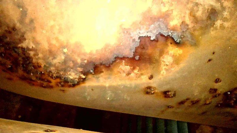 Responded to a no-heat call on a 10+ year old basement furnace that was failing to ignite and found the inducer/draft motor and surrounding cabinet components heavily corroded, with rust and mineral buildup on the motor housing, mounting brackets, and the flue/vent assembly. The corrosion is consistent with moisture exposure and condensate intrusion and is preventing proper ignition sequence operation. Documented all conditions with photos and advised on the unit's condition and recommended repair or replacement options.